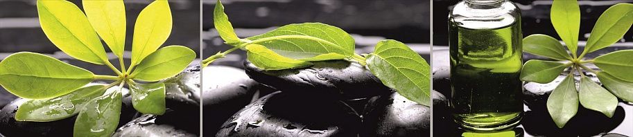 Панель высокогл. STEKLU-NET 6х2800х600 Оливковая ветвь